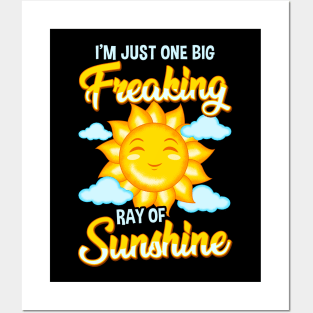 Cute I'm Just One Big Freaking Ray Of Sunshine Posters and Art